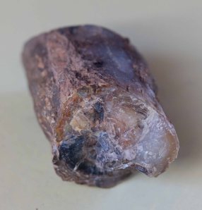 Fossilized wood found at the Green River from Eocene