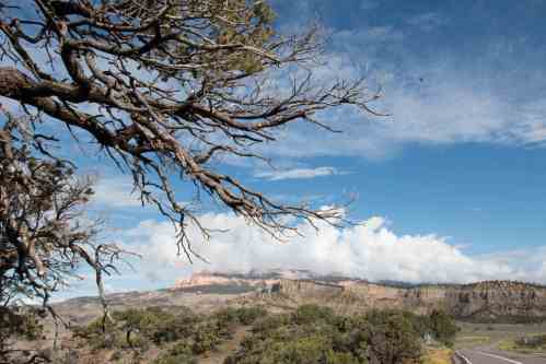 Highway 12 by Trine Christensen