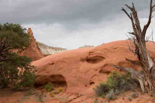 by Trine Christensen