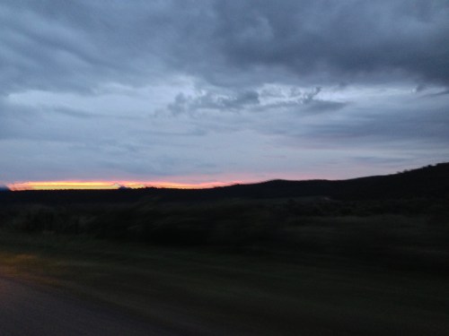 By Trine Christensen