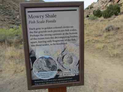 If you say so by Aase Christensen