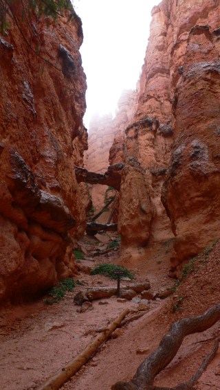 by Thorkild Christensen