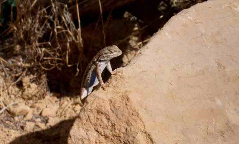 by Trine Christensen