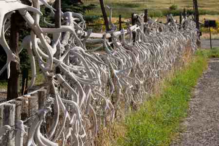 by Trine Christensen