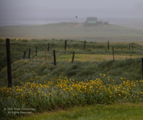 by Trine Christensen