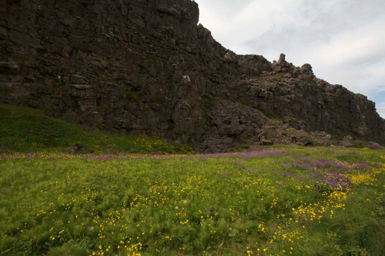 by Thorkild Christensen