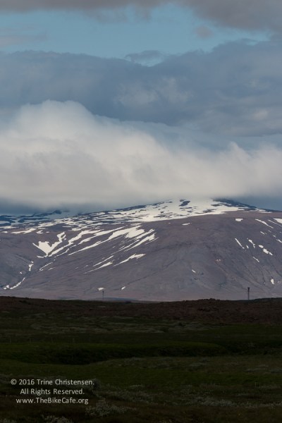 TrineChristensen_IMG_0390_LR5