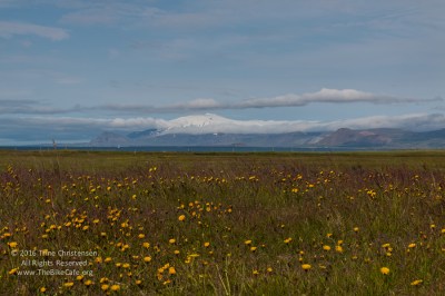 by Trine Christensen