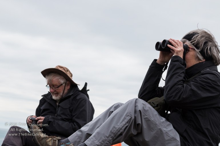 by Trine Christensen