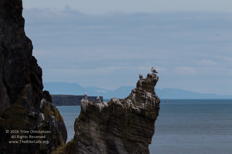 by Trine Christensen