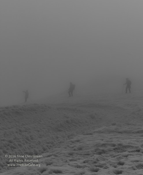 by Trine Christensen