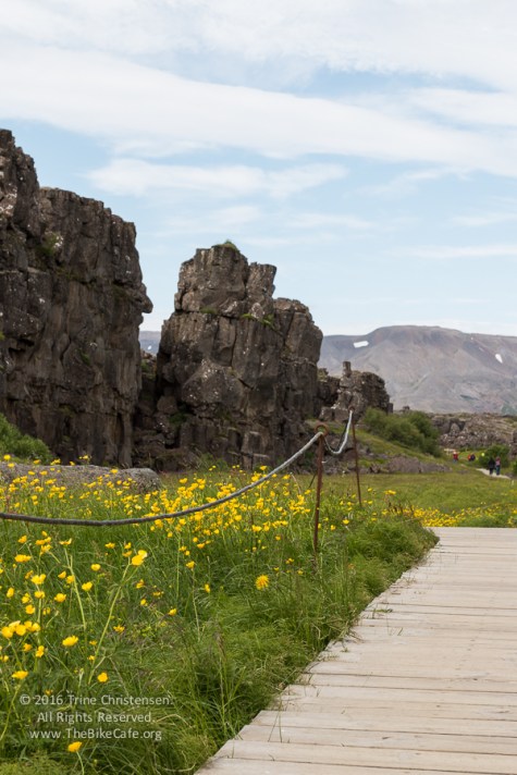 by Trine Christensen