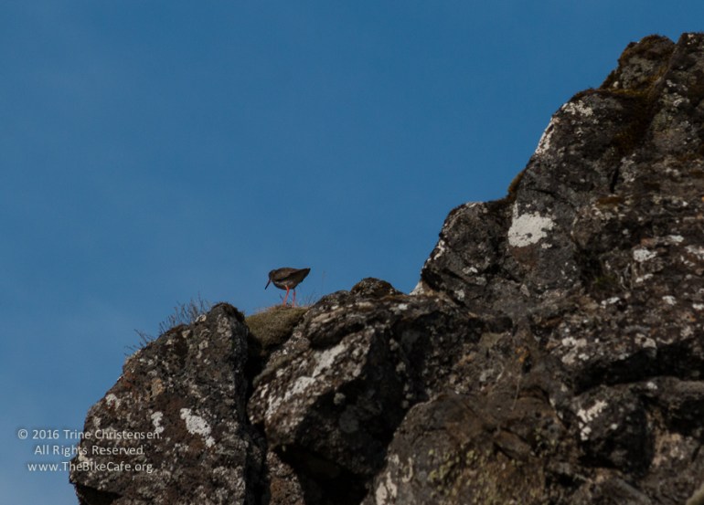 by Trine Christensen